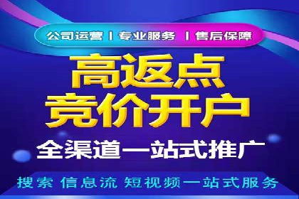 百度推广在电商行业的成功案例